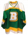 Birmingham South Stars Hockey Jersey