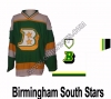 Birmingham South Stars Hockey Jersey