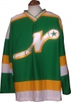 Nashville South Stars Hockey Jersey